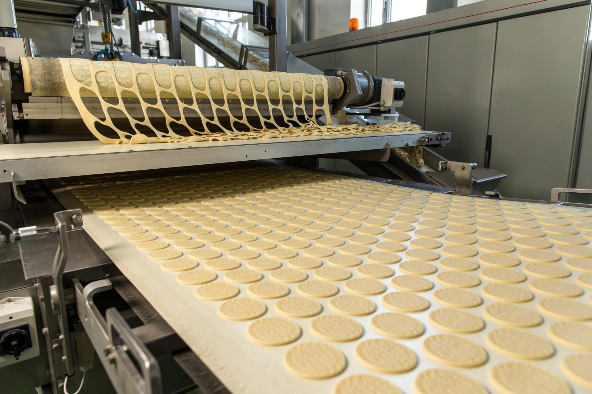 Cinta industrial de galletas